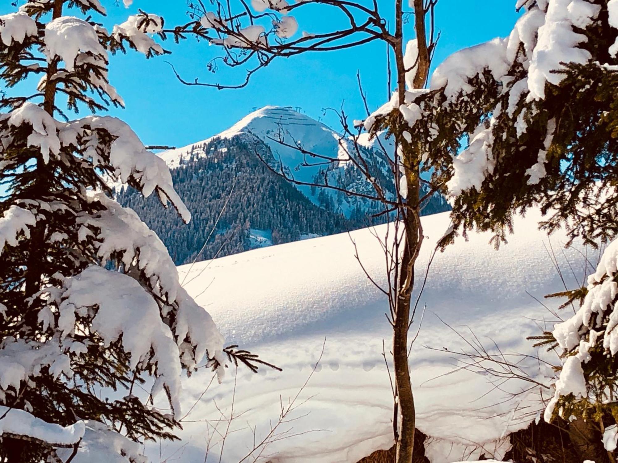 Appartements Living Saalbach Dış mekan fotoğraf